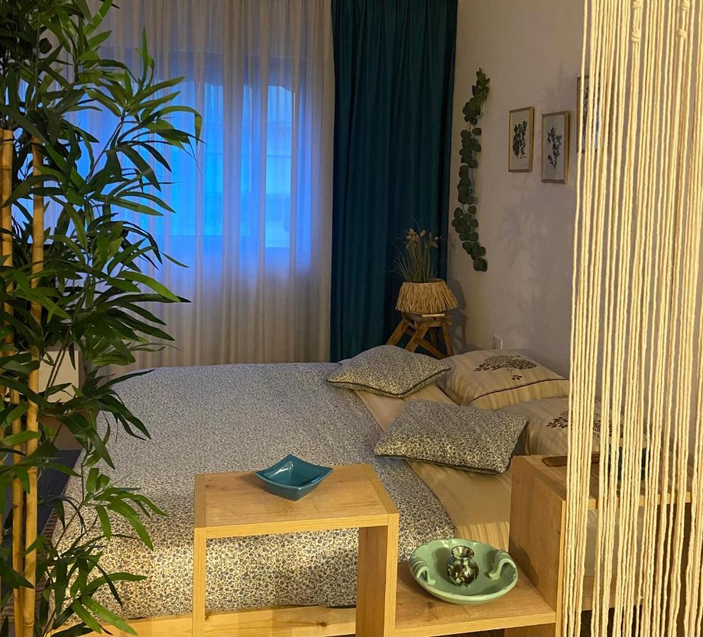 Studio Flat In The City Center Tirana Extérieur photo